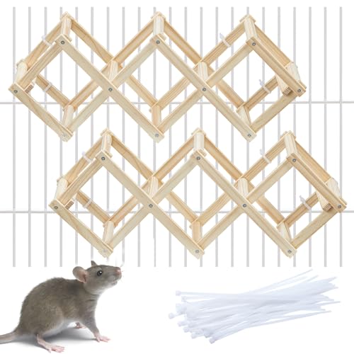 Kiln-Dried Wood Rat Climb Toy, Hanging Cage Ladder Activity (S, 2pcs) | Natural Rat Cage Bridge, Multiple Openings & Directional Ramps Offer Challenges to Satisfy Rats' Instincts for Explore & Play - style: S, 2pcs