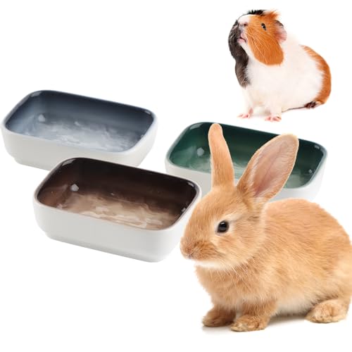 3 Pack Hamster Ceramic Bowl Small Animals Anti-Turning Food Water Bowl for Rabbit Sugar Glider Hamster Guinea Pig Hedgehog Squirrel ((Blue, Green and Brown)