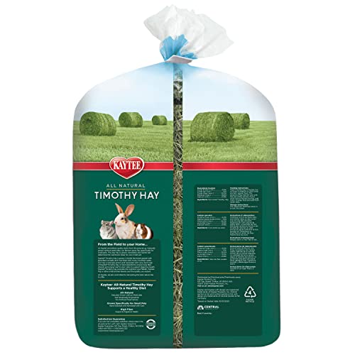 Kaytee Timothy Hay, High Fiber, Grown Specifically for Small Animals, Rabbits, Guinea Pigs, Chinchillas, 96 Ounces - size: 6 Pound (Pack of 1)