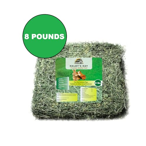 Halby's Hay Premium Alfalfa Hay – 8 lb Bag – Soft Leafy Sun-Cured Hand-Packed Feed for Rabbits, Guinea Pigs, Chinchillas, Tortoises & Small Pets – High Protein, Family-Farmed, California Grown