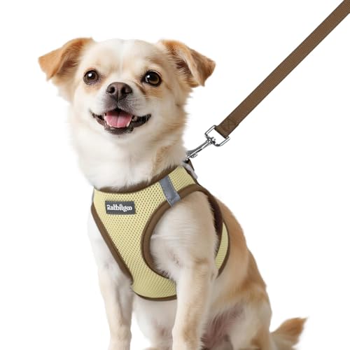 rabbitgoo Dog Harness Small Sized and Leash Set, Step in Soft Vest | Breathable Mesh, Easy Wear with Hook & Loop, Light and Reflective for Walking, Multi-colored, Beige & Coffee, XXS - color: Beige & Coffee, size: XXS (Chest: 12.4"-14.2")
