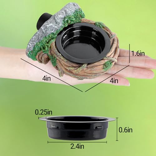 REPTI ZOO Magnetic Reptile Feeding Ledge, Gecko Feeder Ledge with 2PCS Cups, Hollow Vine Food Dish, Reptile Water Bowl for Bearded Dragon Lizard Snake, Terrarium Tank Accessories - size: Magnetic- Single Feeder