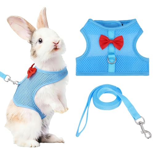 Rabbit Harness and Leash, Small Pet Cute Vest Harness Leash Soft Adjustable Buckle Breathable Mesh (L, Sky Blue) for Bunny Kitten Small Pig Puppies Camping Hiking Training - color: Sky Blue, size: L