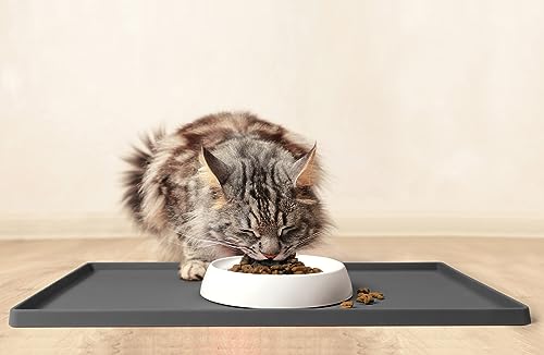 CatGuru Cat Bowls, Whisker Friendly Food Bowl for Indoor Cats, Reliefs Whisker Fatigue, Wide Kitten Dish, Non Slip Pet Dishes, Shallow Pet Plates (Marshmallow) | Wide, shallow food dish lets cats reach every bite comfortably reducing food waste. Nonslip.