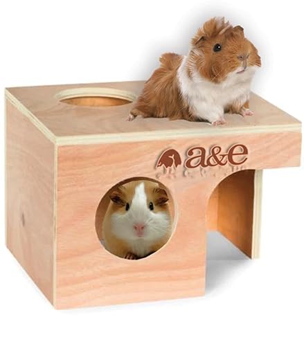 A&E Cage Company 52400900: Animal Hut Hampster/Gerbil Md