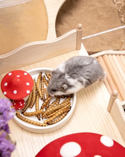 Niteangel Small Animal Snack & Treats - Dried Worms & No Additive | Delivers Essential Vitamins & Minerals- Small Animal Natural Treat for Dwarf Syrian Hamsters Gerbils Mice Degus or Small Pets
