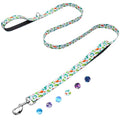 4 Foot Dog Leash for Medium Large Dogs, Double Handle Dog Leash with Padded Traffic Control Handles, Walking Training Lead, Dinosaur - color: Dinosaur, size: 1 in x 4 ft