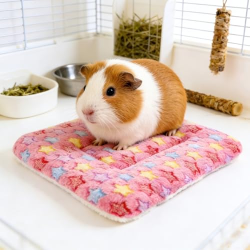 Guinea Pig Bed, 2 Pack (12x10 Inch) Soft Plush Small Animal Bed Mat, Washable Bedding Blanket Sleeping Warm Pad for Bunny, Rat, Ferret, Chinchilla - color: Pink