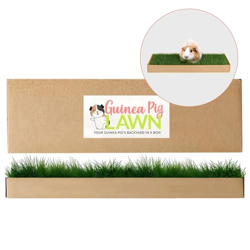 Guinea Pig Pee Pads, Fresh Grass Mat, Hamster Small Pet Bed 24x9 | Hydroponically grown grass with 2x the grazing area - great for guinea pigs, hamsters, hedgehogs, and multi-pet households - size: 24X9 inch