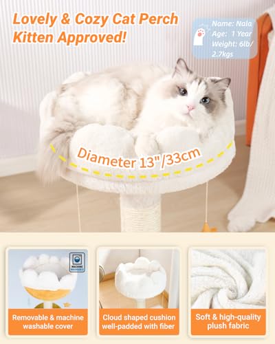 Cloud Cat Tree, Cat Scratching Post with Soft Bed for Kitten | Natural Sisal Posts, Small Cat tree, Kitten Scratching Post, Cute Toys & Catnip, Easy To Clean, Stable Structure, Home Decor - size: 22" with Scratching Post