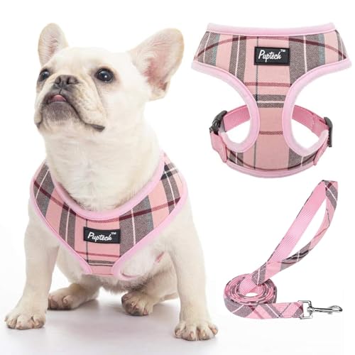 PUPTECK Soft Mesh Dog Harness and Leash Set Pet Puppy Cat Comfort Padded Vest No Pull Harnesses, Light Pink, S - color: Light pink, size: S (NECK: 12", CHEST: 14"-18")