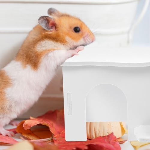 POPETPOP Plastic Hamster Hideout Rat Ladder House Guinea Pig House Guinea Pig Rest House Bird Toys