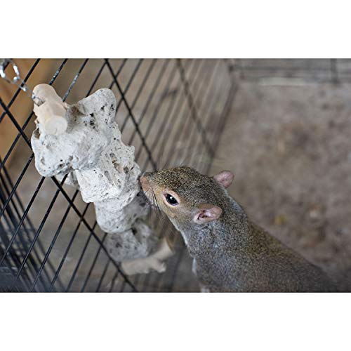 Exotic Nutrition Pumice Chew Dangle - Natural Healthy Hanging Cage Accessory Toy - for Squirrels, Degus, Chinchillas, Prairie Dogs, Birds, Rats, Hamsters, Guinea Pigs & Other Small Pets - color: Light Gray
