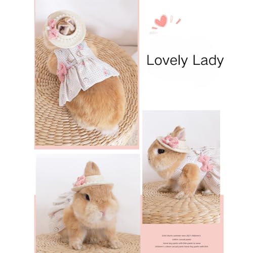 Rabbit Harness and Leash with Lovely Hat - Bunny Harness Escape Proof for Walking Running Hiking Camping Outdoor - Cute Small Animal Harness Leash Set (Large) - size: Large