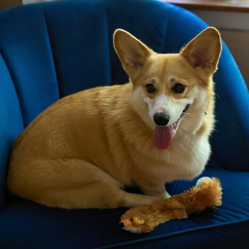 SPOT Skinneeez Fox – 14" Stuffing-Free Plush Squeaky Dog Toy for Small & Medium Dogs, Best for Light to Moderate Chewers, Mess-Free Play - style: Mini Fox