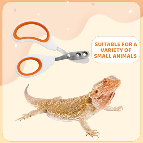 Stainless Steel Bearded Dragon and Lizard Nail Clippers (Orange), Bearded Dragon Supplies, Durable Reptile Grooming Tool, Nail Scissors for Small Reptiles, 10.3 x 6.6 cm
