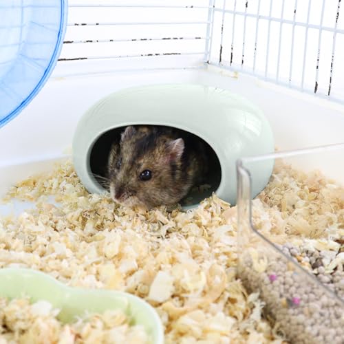 Ceramic Hamster Hideout, Cooling Hamster House All-Season Small Animal Cave, Easy to Clean Cave for Dwarf Hamsters, Gerbils, Mice (Light Green) - color: Light Green