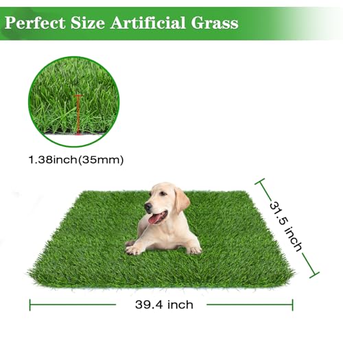 GLOBREEN Artificial Grass for Dogs to Pee on, 39.4" x 31.5" Puppy Turf Potty Training Tray, Thick & High Drainage Pets Fake Grass - size: 39.4x31.5 Inch