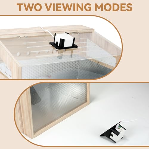 Hamster Cage with camera - 2.5K 5G Hamster camera for Chewproof Guinea Pig Cage Clear Small Animal cage with Open top Hamster Habitat Wooden mouse cage with Acrylic Panel 15.7*12*12 IN