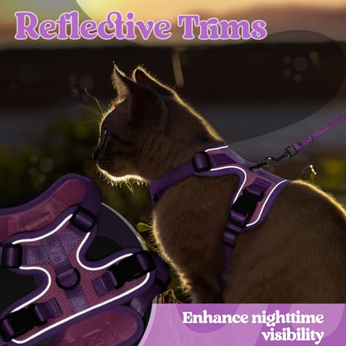 rabbitgoo Cat Harness and Leash Set, Escape Proof, Pink & Purple | Adjustable Fit, Snap Buckles, Soft Breathable Vest, Secure Clip, Reflective Strips, for Kittens & Small Cats Walks, Xxs - color: Pink & Purple, size: Xxs