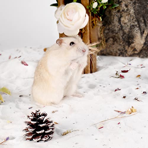 BUCATSTATE Dust-Free Hamster Bath Sand Plant Scented Bathing Sand for Dwarf Syrian Hamster and Other Small Animals 3.3lb/1.5kg - color: White Sand, size: 3.3LB