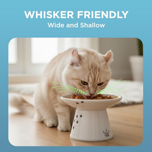 Necoichi Ceramic Extra-Wide Elevated Cat Food Bowl (Cat, Extra Wide) - color: Cat, size: Large Extra Wide