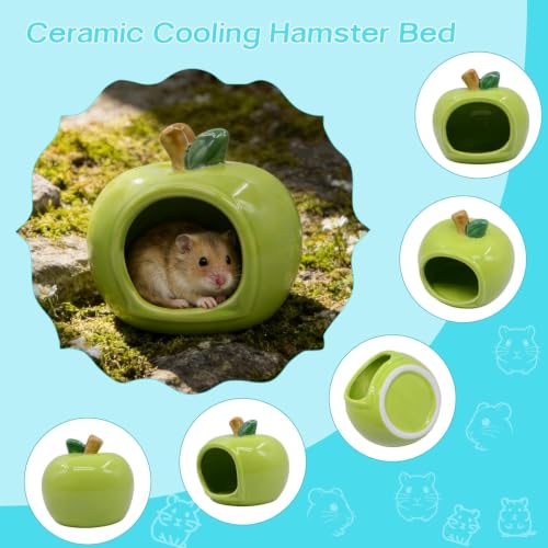 RUIAN Hamster Hideout - Ceramic Hamster Hide for Syrian and Dwarf Hamsters, Hamster House and Hamster Sand Bath Cave, Gerbil Hideout for Small Animal Cage Accessories(Green) - color: green