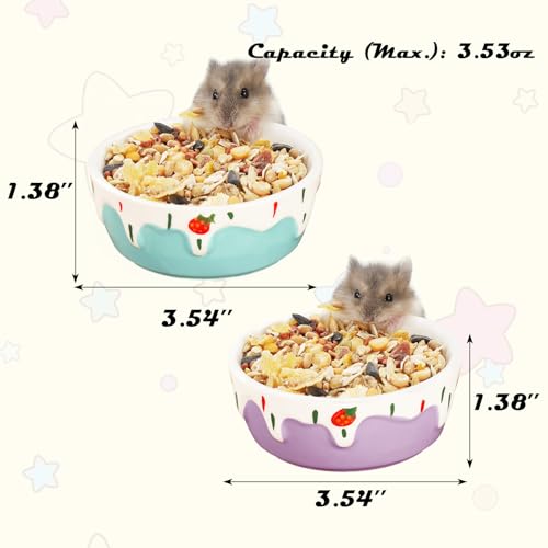 VanEnjoy 2 Pack Hamster Food Bowl Small Ceramic Water Food Bowl for Cage Small Animal Bowls for Hamster Guinea Pig Chinchilla Rabbit - Blue and Purple - color: Blue and purple
