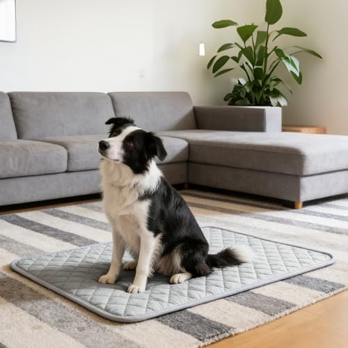 Cooling Mat for Dogs: Premium Waterproof Dog Cooling Blanket, 5-Layer Materials Dog Cooling Mat, Washable Pet Cooling Mat for Summer, Silver Grey Mats Large Dogs - color: 005-Silver Grey