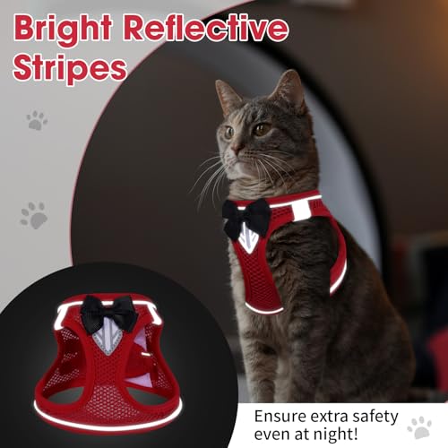Cat Vest Harness and Leash Set, Escape Proof Kitten Harness Red XS | Safe Reflective Strips, Adjustable Easy Wear Kitty Harness, Sturdy Clip Buckle, Breathable Mesh , for Kitty Puppy Bunny Walks - color: Red, size: XS