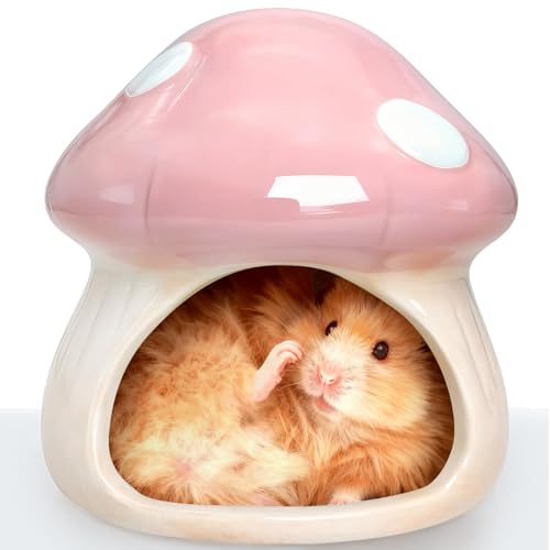 BNOSDM Ceramic Hamster Hideout Cute Mushroom Shape Hamster House and Habitat Cool Hamsters Hide Suitable for Syrian, Mice, Dwarf Hamsters, Gerbils (Pink) - color: Pink Hideout Solo