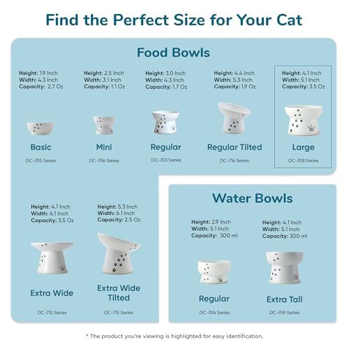 Necoichi Ceramic Raised Cat Food Bowl, Whisker-Friendly (Fuji, Large Flat) - color: Fuji, size: Large
