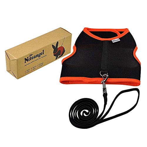 Niteangel Adjustable Soft Harness with Elastic Leash for Rabbits (M, Black) - color: Black, size: M