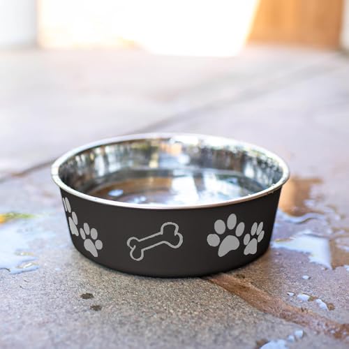 Loving Pets Bella Dog Bowls- Stainless Steel Dog & Cat Bowls - Spill Proof Dog Food Bowl, Cat Bowl, Puppy Essentials & Pet Supplies Great for Home & Travel (Medium 20-35 lbs, Espresso) - color: Espresso, size: Medium (20-35lbs)