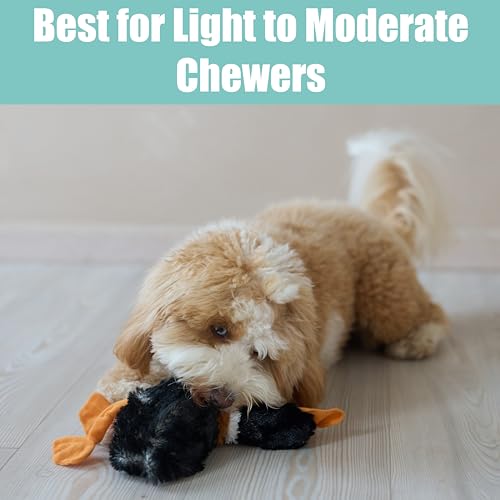 SPOT Skinneeez Mini Mallard Duck 13 Inch Stuffing-Free Plush Squeaky Dog Toy – Soft Interactive Toy for Small and Medium Dogs – Mess-Free Play for Light & Moderate Chewers – Assorted Styles - style: Mini Mallard Duck
