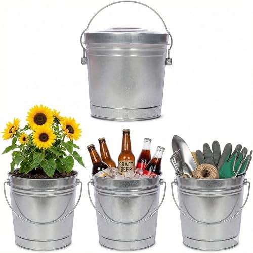 Galvanized Steel Locking Lid Storage Can, 6 Gallon, Heavy Duty Metal Pail for Bird Seed, Dry Pet Food, Charcoal Ash, Rodent Proof, Rust Resistant with Wire Bail Handle