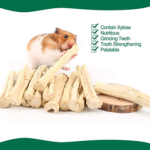 BWOGUE 100g Pet Snacks, Bamboo Chews for Rabbits, Sweet Bamboo Chew Sticks | About10-14 Sticks, 3.94 in Bamboo Sticks for Rabbits, Rabbit Chew Toys, Squirrels, Guinea Pigs, Chinchillas & Hamsters - size: 1 Count (Pack of 1)