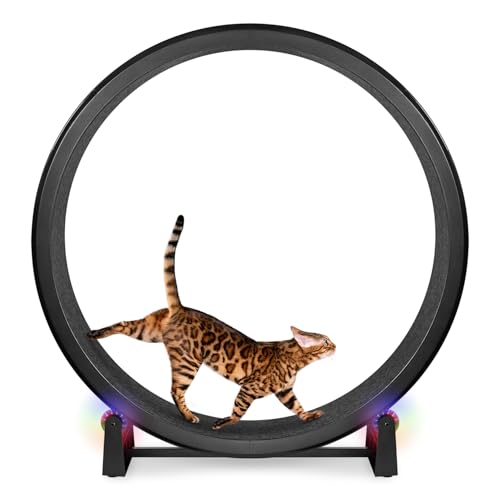 One Fast Cat - Cat Exercise Wheel - Made in the USA - 48" Diameter - Gen. 7 | Black with Black Felt Traction Pads and Light-Up LED Inline Wheels - color: Black Wheel / Black Felt / LED Inline