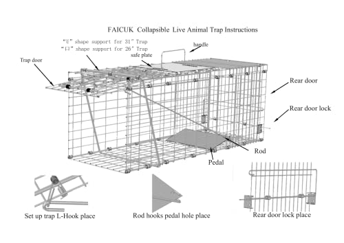 Faicuk Large Collapsible Humane Live Animal Cage Trap for Raccoon, Opossum, Stray Cat, Rabbit, Groundhog and Armadillo 32 x 11 x 13 Inch - size: 32" x 11" x 13"