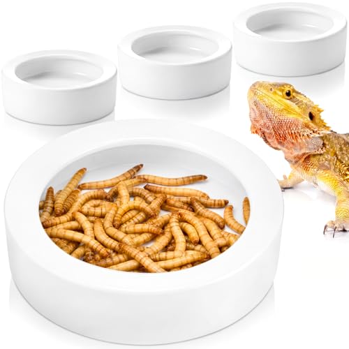4 Pcs Reptile Bowl Food Dish Reptile Water Food Feeding Dish Ceramic Worm Pet Bowl Anti Escape Feeder for Lizard Anoles Chameleon Bearded Dragon Hermit Crab (4.92 Inch) - size: 4.92 Inch