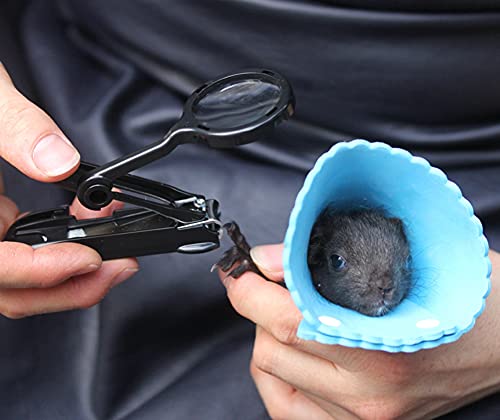 Guinea Pig Nail Clippers with Magnifying Glass Stainless Steel Claw Toenail Trimmer for Small Animal Hedgehog Rabbit Hamster Ferret Hamsters Chinchilla Sugar Glider Pet Grooming Supplies (Black)