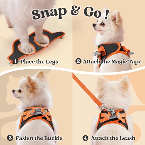 rabbitgoo Dog Harness Small Sized and Leash Set, Step in Soft Vest | Breathable Mesh, Easy Wear with Hook & Loop, Light and Reflective for Walking, Multi-colored, Black & Orange, XXS - color: Black & Orange, size: XXS (Chest: 12.4"-14.2")