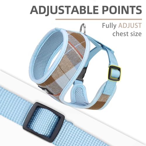 PUPTECK Soft Mesh Dog Harness and Leash Set Pet Puppy Cat Comfort Padded Vest No Pull Harnesses, Blue&Brown, S - color: Blue&Brown, size: S (NECK: 12", CHEST: 14"-18")