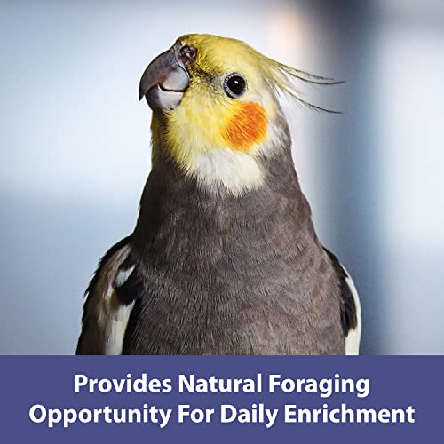 Kaytee Spray Millet Treat for Pet Birds, 7 Ounce - size: 7 Ounce (Pack of 1)