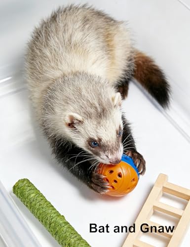 10-Pack Ferret Ball Toys Ferrets, PP Material | Interactive Play, Solo Play, Non-Toxic, Built-In Bell, 1.5 in - 2.2 in - size: 1.5'' - 2.2''