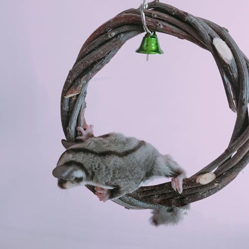 FLAdorepet 5Pcs Wood Sugar Glider Cage Accessories Small Pet Climb Chew Toy | Included Swing Ladder and 3 Platforms;Natural Apple Wood;Easy Cage Installation,Chewing Climbing Toys for Sugar Gliders Bird