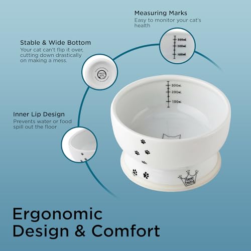 Necoichi Ceramic Elevated Cat Water Bowl, Whisker-Friendly (Cat, Regular) - color: Cat, size: Regular