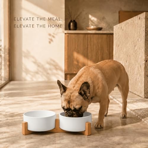 SPUNKYJUNKY Ceramic Dog and Cat Bowl with Wood Stand Non-Slip Matte Glaze Weighted Food Water Set for Cat Medium Dog 28.7 OZ - color: White × 2, size: 3.6 cups