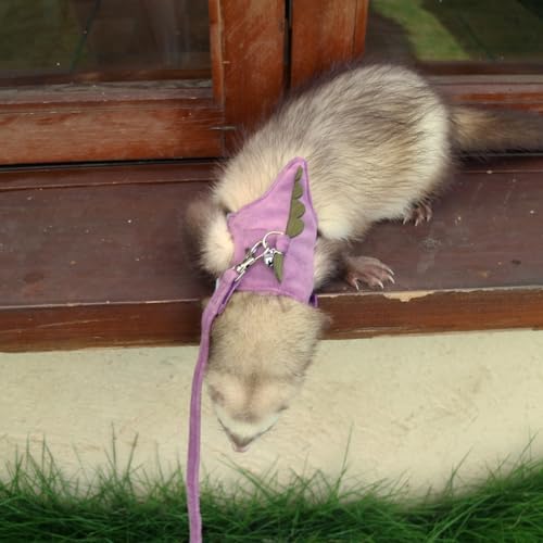Bearded Dragon Harness and Leash Set - Soft Fleece Dinosaur Vest with Safe Bell Adjustable Lizard Traction Rope Escape Proof Outdoor Walking Training Leash for Ferret Rat Kitten Puppy (Purple) - color: Purple