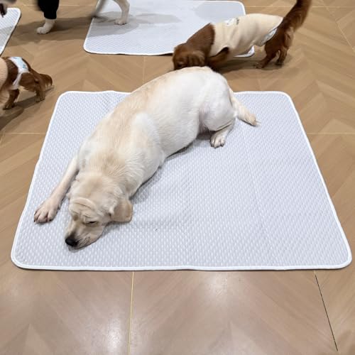 Dog Cooling Mat 46"x36" Extra Large for Big Dogs, L | Chew-Resistant, Non-Slip & Machine Washable, Ice-Silk Self-Cooling Pad(Q-Max>0.4), Leak-Proof TPU, Crate Indoor Outdoor - size: Large 46"x36"